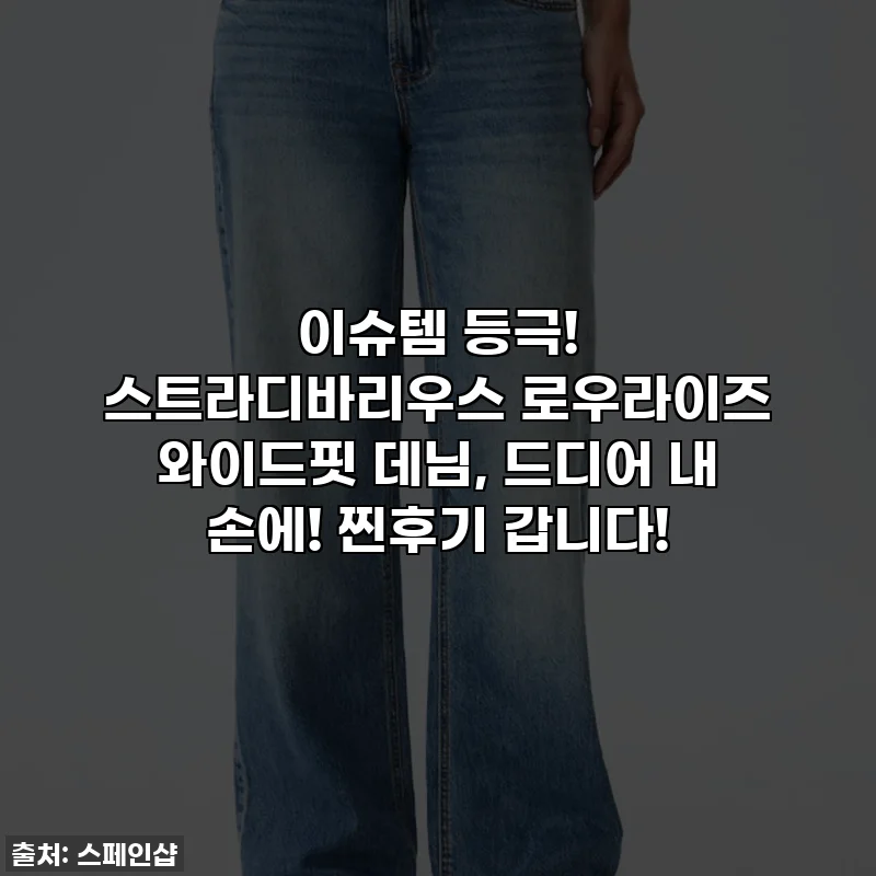 이슈템 등극! 스트라디바리우스 로우라이즈 와이드핏 데님, 드디어 내 손에! 찐후기 갑니다!