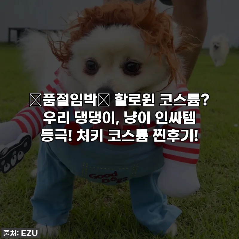 🚨품절임박🚨 할로윈 코스튬? 우리 댕댕이, 냥이 인싸템 등극! 처키 코스튬 찐후기!