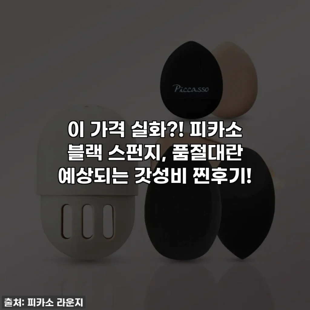 이 가격 실화?! 피카소 블랙 스펀지, 품절대란 예상되는 갓성비 찐후기!