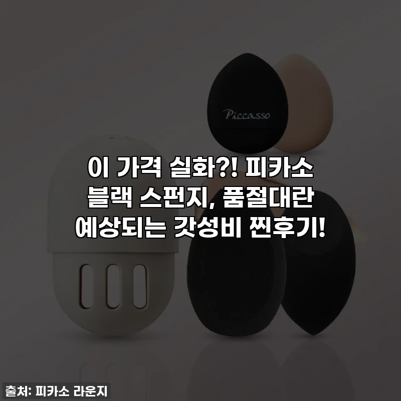 이 가격 실화?! 피카소 블랙 스펀지, 품절대란 예상되는 갓성비 찐후기!