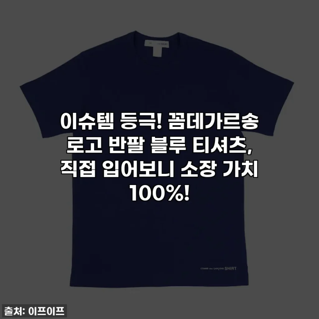 이슈템 등극! 꼼데가르송 로고 반팔 블루 티셔츠, 직접 입어보니 소장 가치 100%!