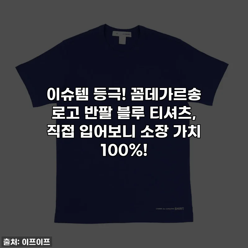 이슈템 등극! 꼼데가르송 로고 반팔 블루 티셔츠, 직접 입어보니 소장 가치 100%!
