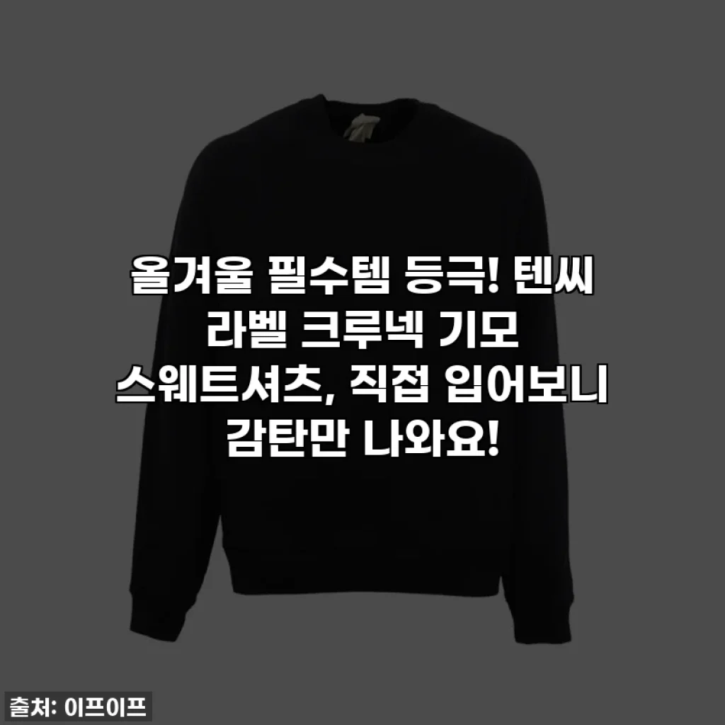 올겨울 필수템 등극! 텐씨 라벨 크루넥 기모 스웨트셔츠, 직접 입어보니 감탄만 나와요!