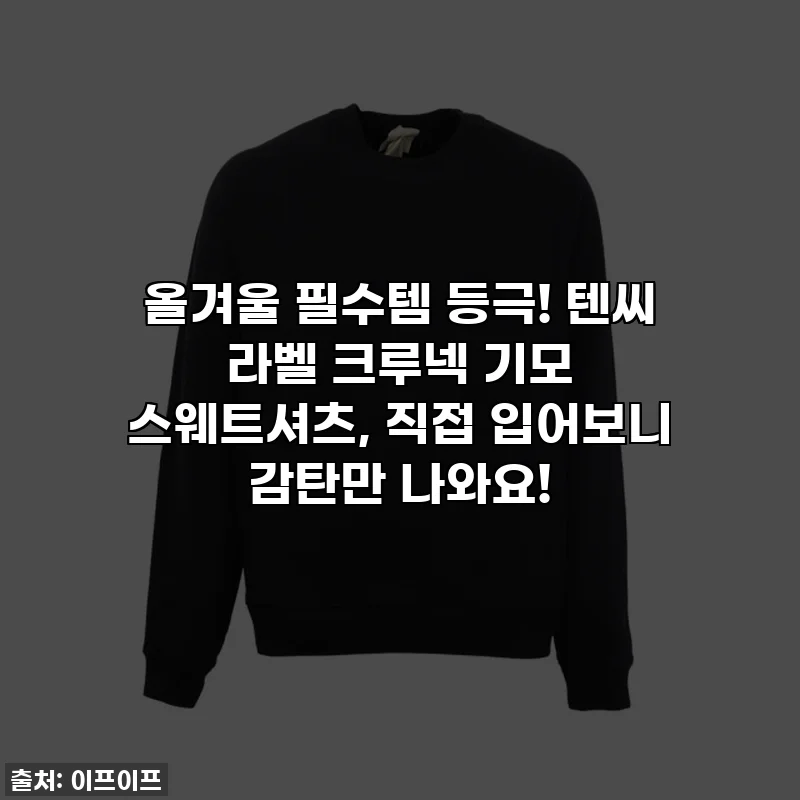 올겨울 필수템 등극! 텐씨 라벨 크루넥 기모 스웨트셔츠, 직접 입어보니 감탄만 나와요!