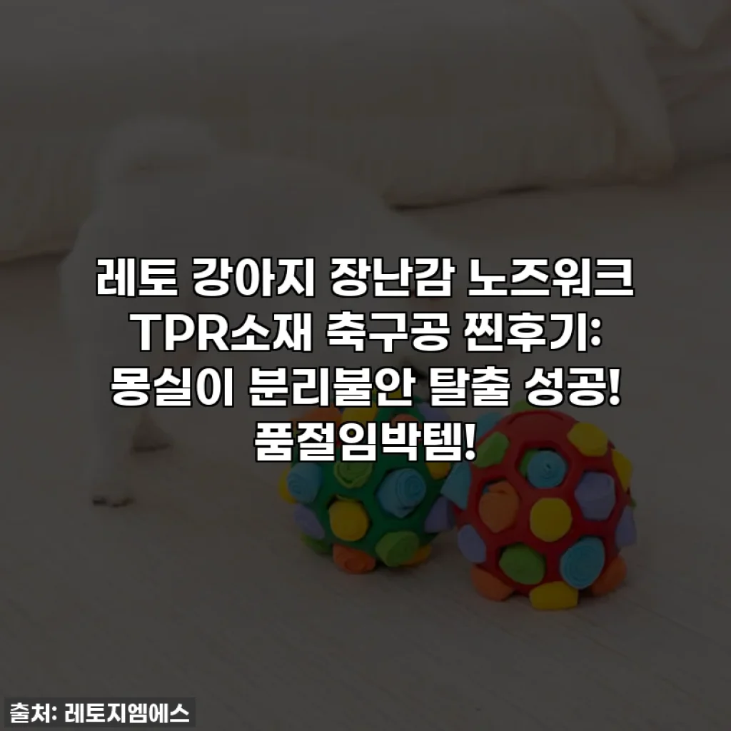 레토 강아지 장난감 노즈워크 TPR소재 축구공 찐후기: 몽실이 분리불안 탈출 성공! 품절임박템!