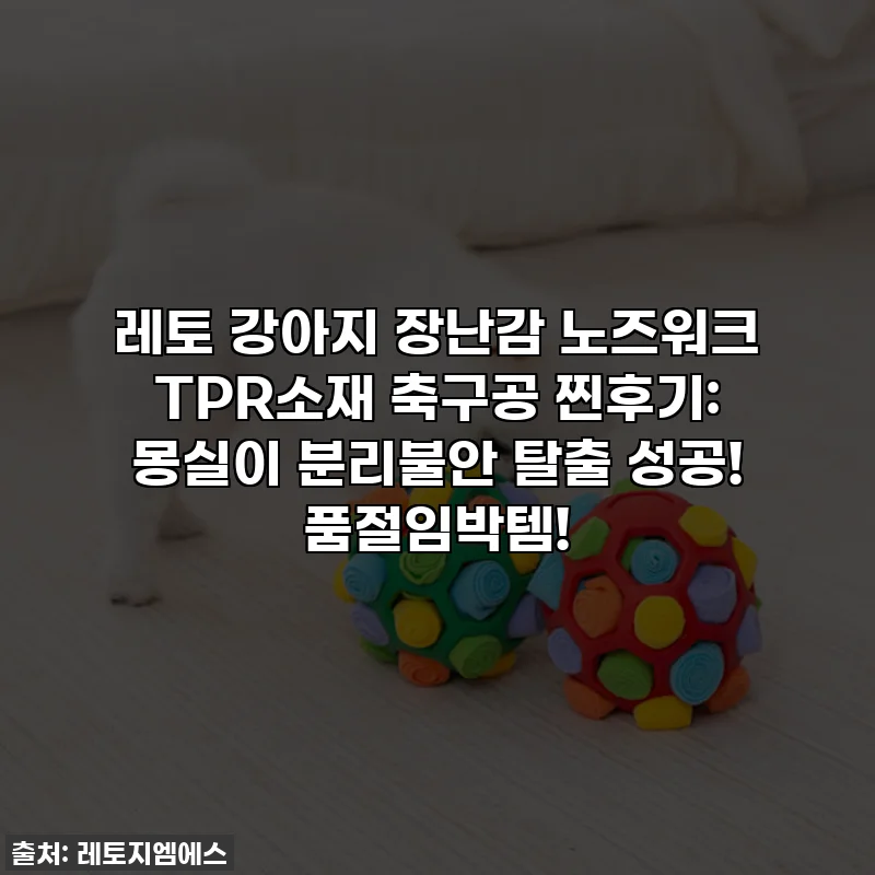 레토 강아지 장난감 노즈워크 TPR소재 축구공 찐후기: 몽실이 분리불안 탈출 성공! 품절임박템!