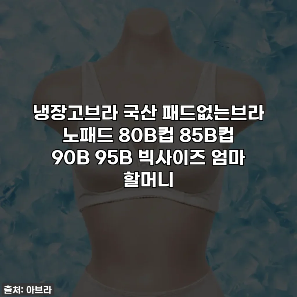 냉장고브라 국산 패드없는브라 노패드 80B컵 85B컵 90B 95B 빅사이즈 엄마 할머니