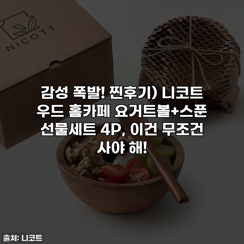 감성 폭발! 찐후기) 니코트 우드 홈카페 요거트볼+스푼 선물세트 4P, 이건 무조건 사야 해!
