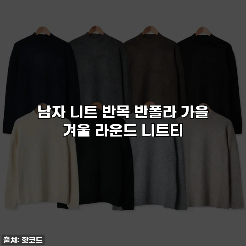 남자 니트 반목 반폴라 가을 겨울 라운드 니트티