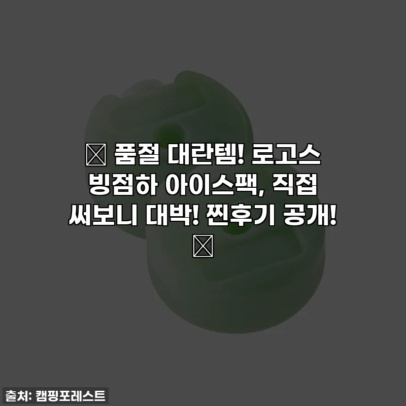 ✨ 품절 대란템! 로고스 빙점하 아이스팩, 직접 써보니 대박! 찐후기 공개! ✨