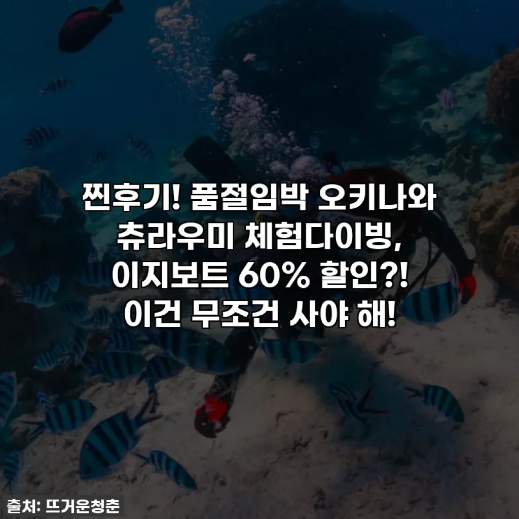 찐후기! 품절임박 오키나와 츄라우미 체험다이빙, 이지보트 60% 할인?! 이건 무조건 사야 해!
