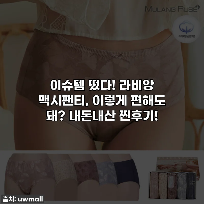 이슈템 떴다! 라비앙 맥시팬티, 이렇게 편해도 돼? 내돈내산 찐후기!
