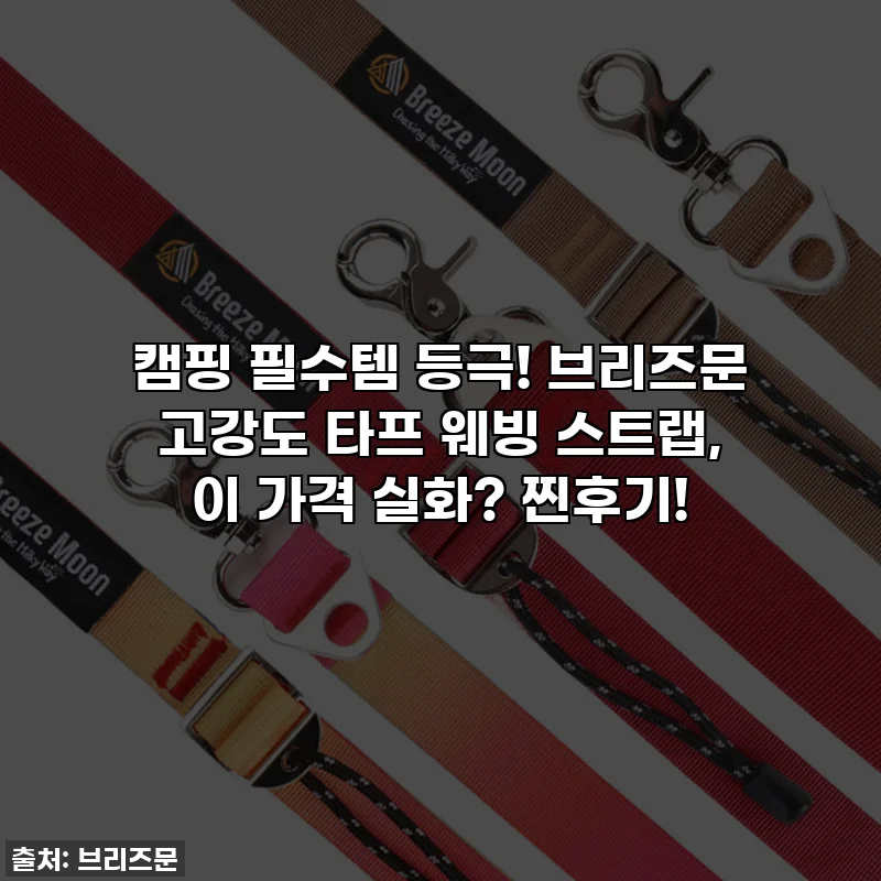 캠핑 필수템 등극! 브리즈문 고강도 타프 웨빙 스트랩, 이 가격 실화? 찐후기!
