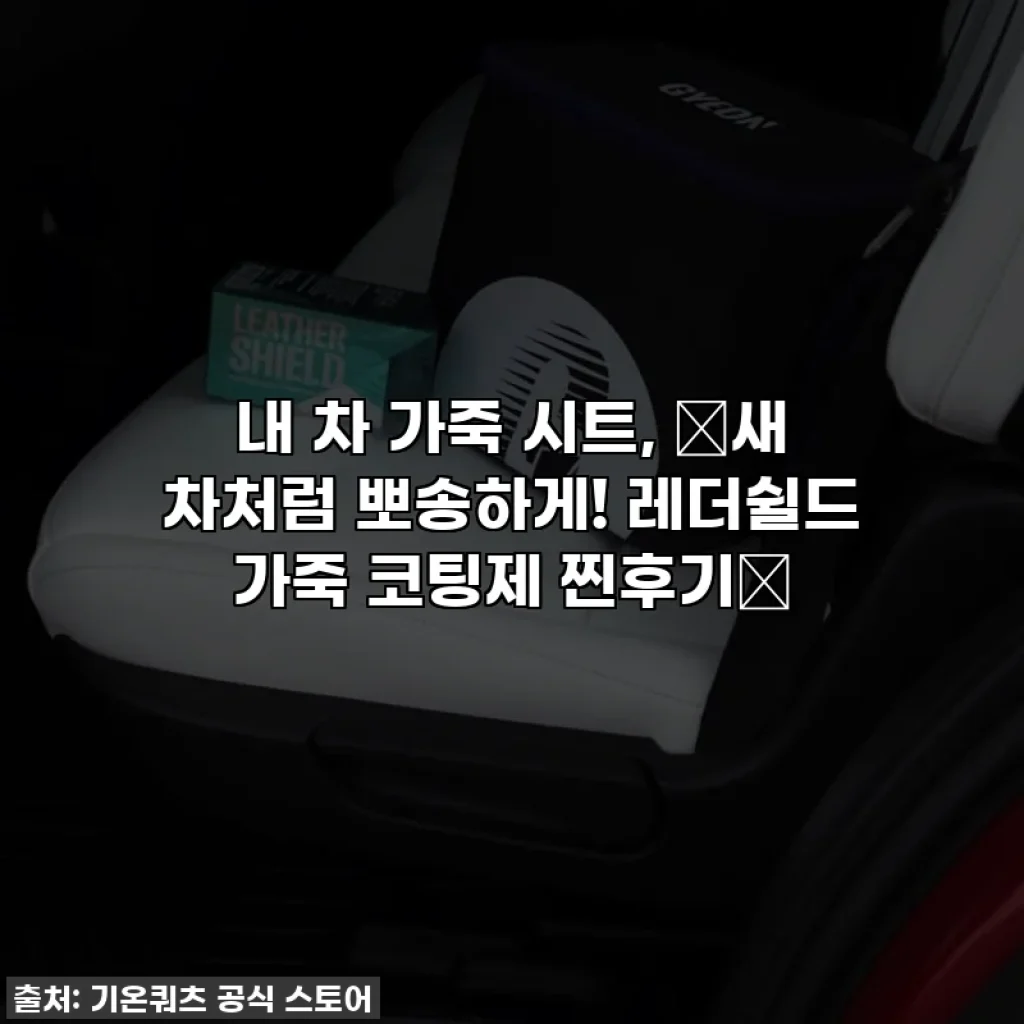 내 차 가죽 시트, ✨새 차처럼 뽀송하게! 레더쉴드 가죽 코팅제 찐후기✨