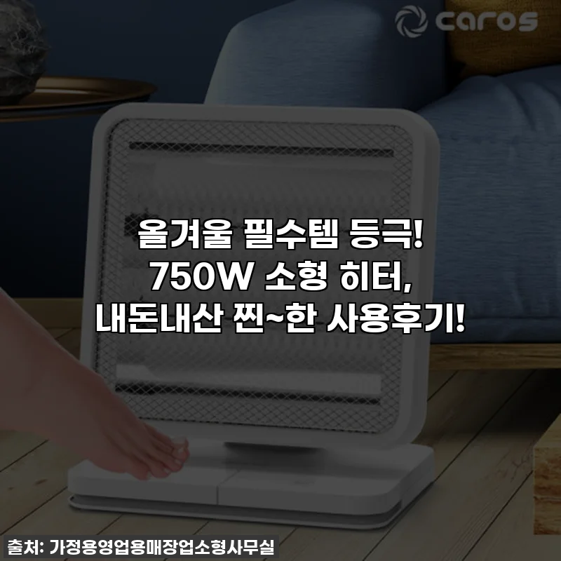 올겨울 필수템 등극! 750W 소형 히터, 내돈내산 찐~한 사용후기!