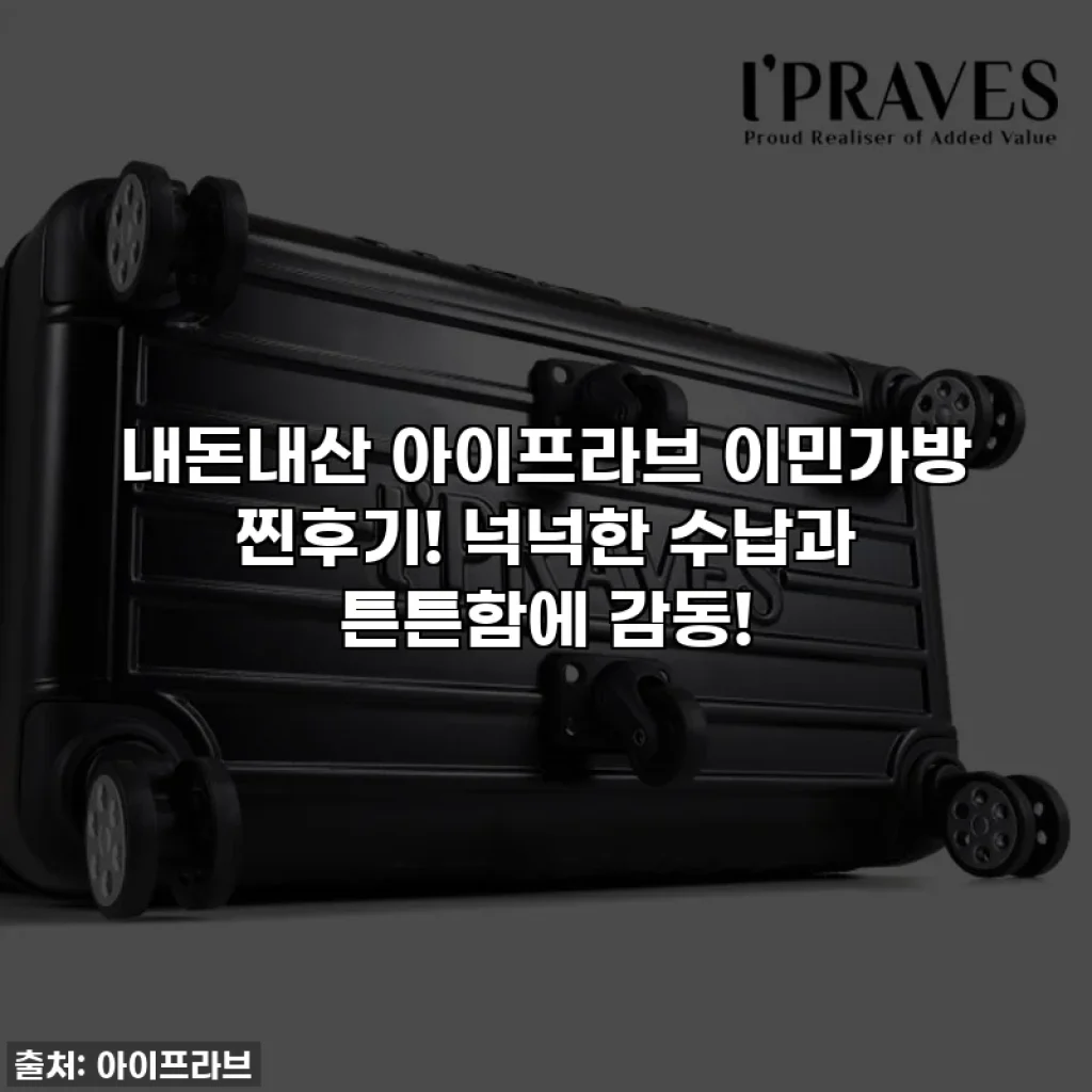 내돈내산 아이프라브 이민가방 찐후기! 넉넉한 수납과 튼튼함에 감동!