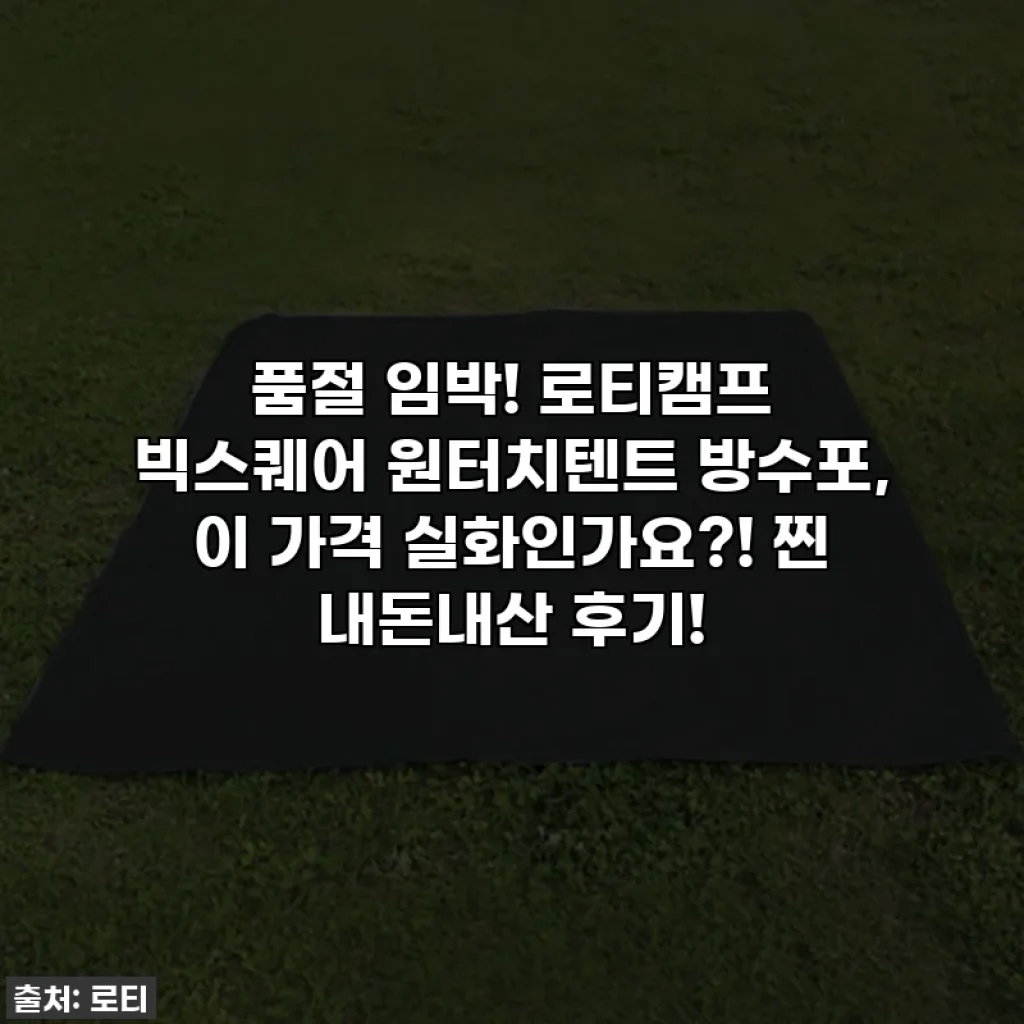 품절 임박! 로티캠프 빅스퀘어 원터치텐트 방수포, 이 가격 실화인가요?! 찐 내돈내산 후기!