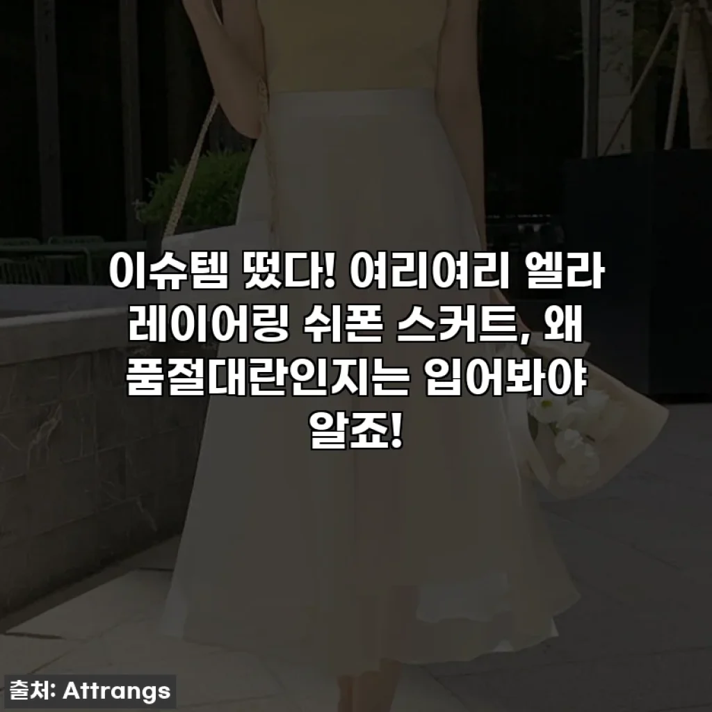 이슈템 떴다! 여리여리 엘라 레이어링 쉬폰 스커트, 왜 품절대란인지는 입어봐야 알죠!
