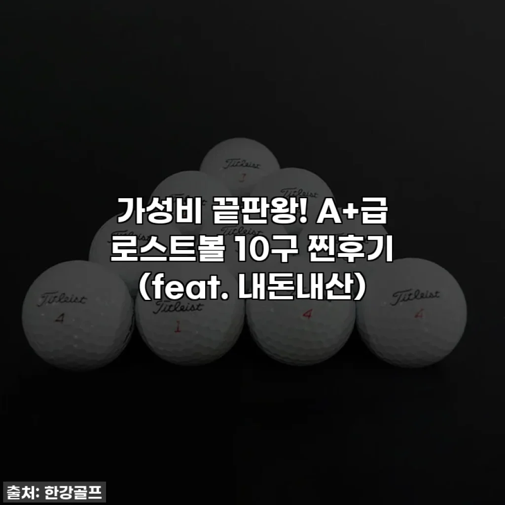 가성비 끝판왕! A+급 로스트볼 10구 찐후기 (feat. 내돈내산)