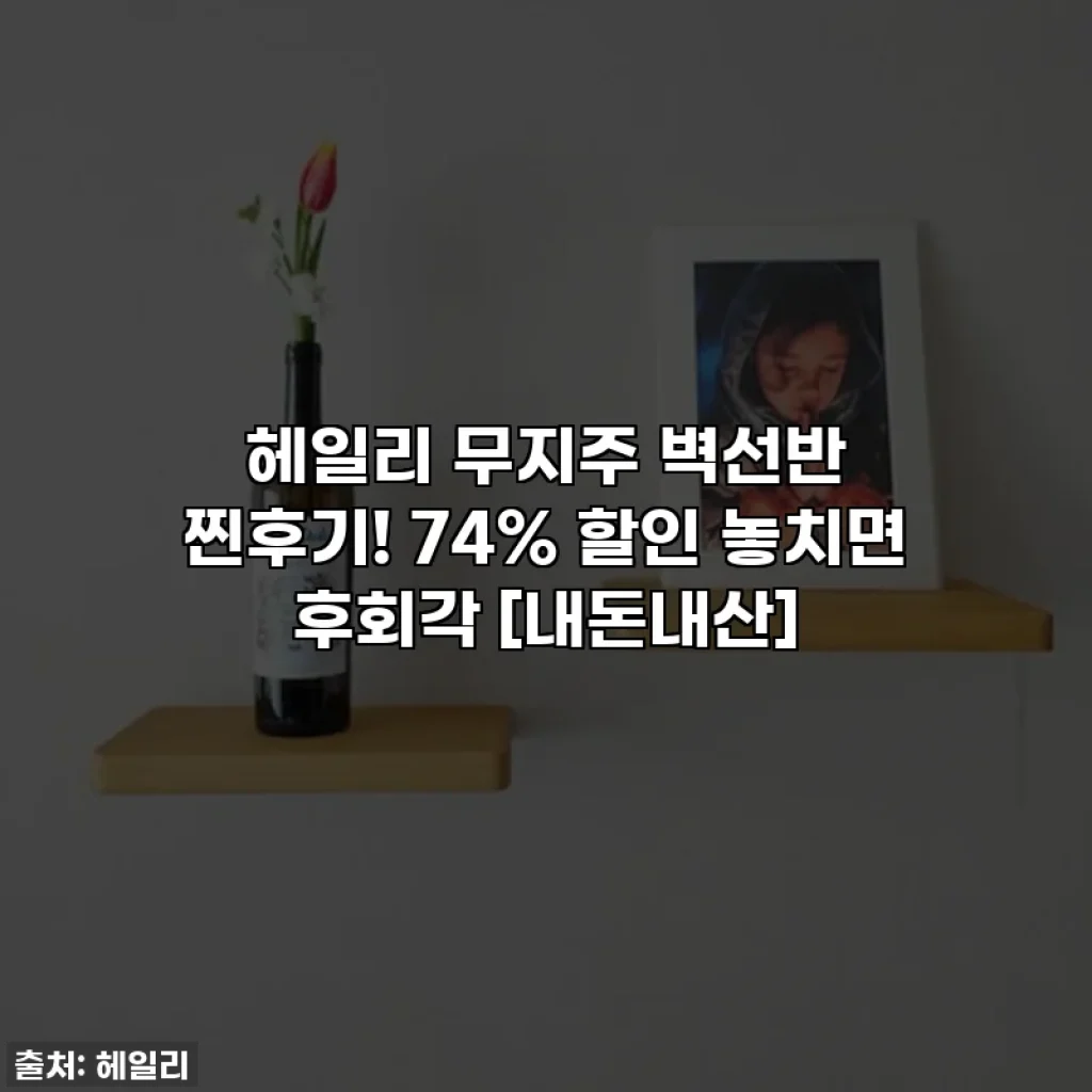 헤일리 무지주 벽선반 찐후기! 74% 할인 놓치면 후회각 [내돈내산]