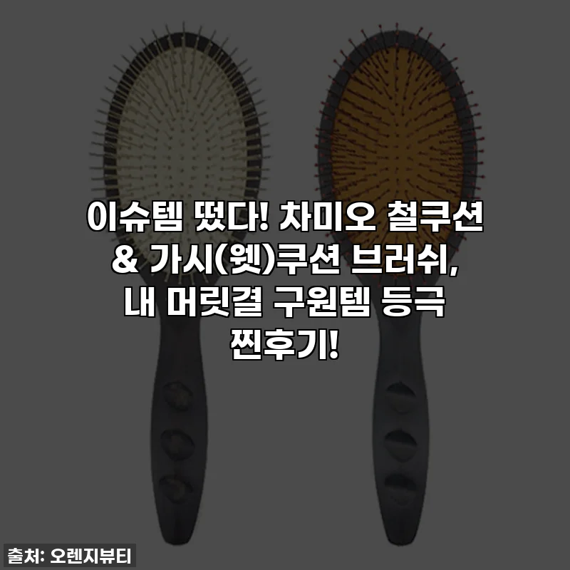 이슈템 떴다! 차미오 철쿠션 & 가시(웻)쿠션 브러쉬, 내 머릿결 구원템 등극 찐후기!