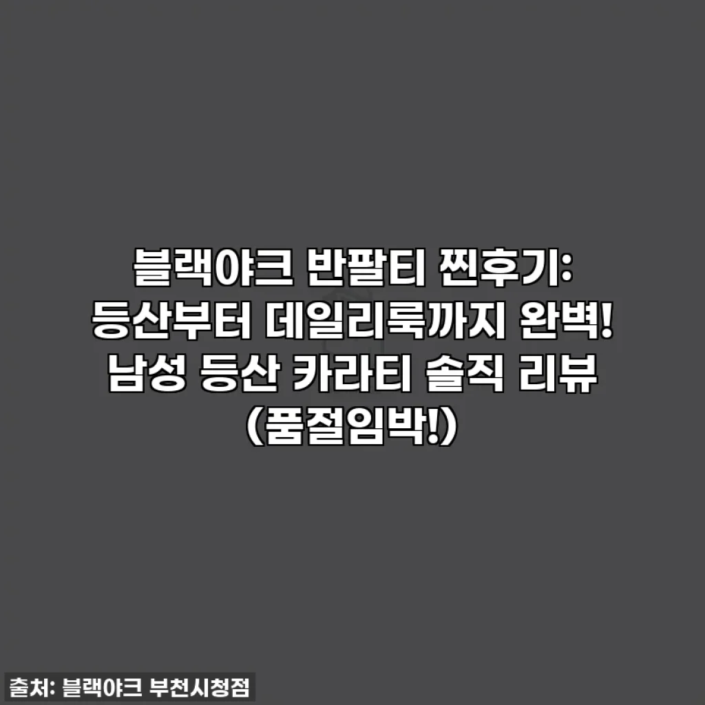 블랙야크 반팔티 찐후기: 등산부터 데일리룩까지 완벽! 남성 등산 카라티 솔직 리뷰 (품절임박!)