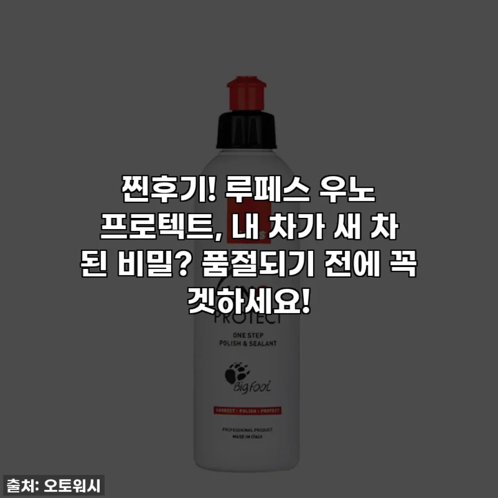 찐후기! 루페스 우노 프로텍트, 내 차가 새 차 된 비밀? 품절되기 전에 꼭 겟하세요!
