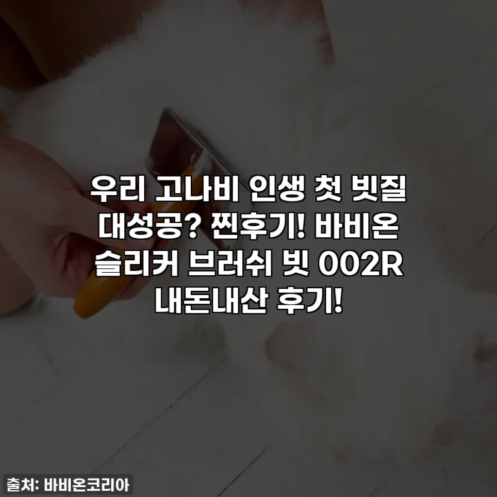 우리 고나비 인생 첫 빗질 대성공? 찐후기! 바비온 슬리커 브러쉬 빗 002R 내돈내산 후기!