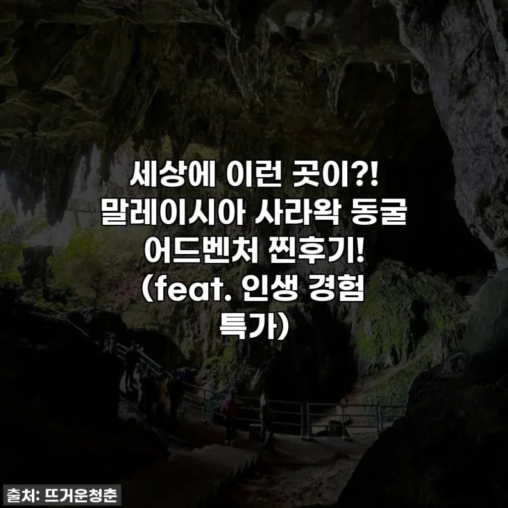 세상에 이런 곳이?! 말레이시아 사라왁 동굴 어드벤처 찐후기! (feat. 인생 경험 특가)