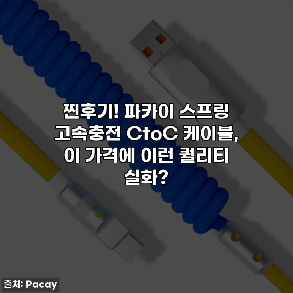 찐후기! 파카이 스프링 고속충전 CtoC 케이블, 이 가격에 이런 퀄리티 실화?
