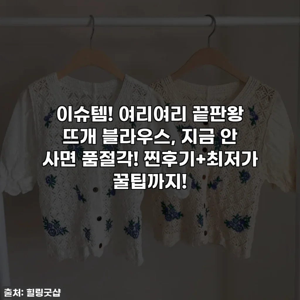 이슈템! 여리여리 끝판왕 뜨개 블라우스, 지금 안 사면 품절각! 찐후기+최저가 꿀팁까지!