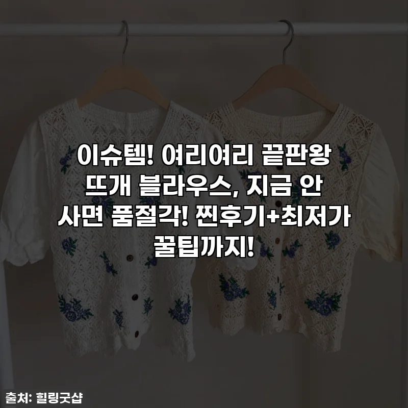 이슈템! 여리여리 끝판왕 뜨개 블라우스, 지금 안 사면 품절각! 찐후기+최저가 꿀팁까지!