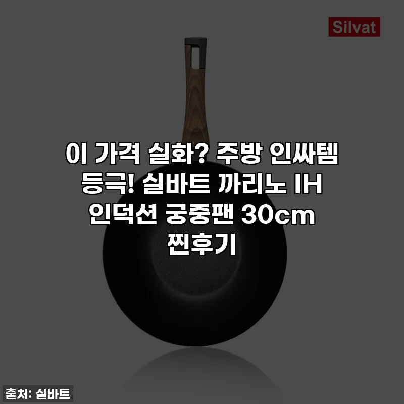 이 가격 실화? 주방 인싸템 등극! 실바트 까리노 IH 인덕션 궁중팬 30cm 찐후기