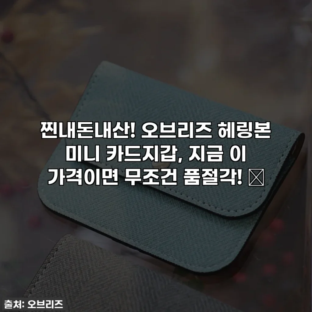 찐내돈내산! 오브리즈 헤링본 미니 카드지갑, 지금 이 가격이면 무조건 품절각! ✨