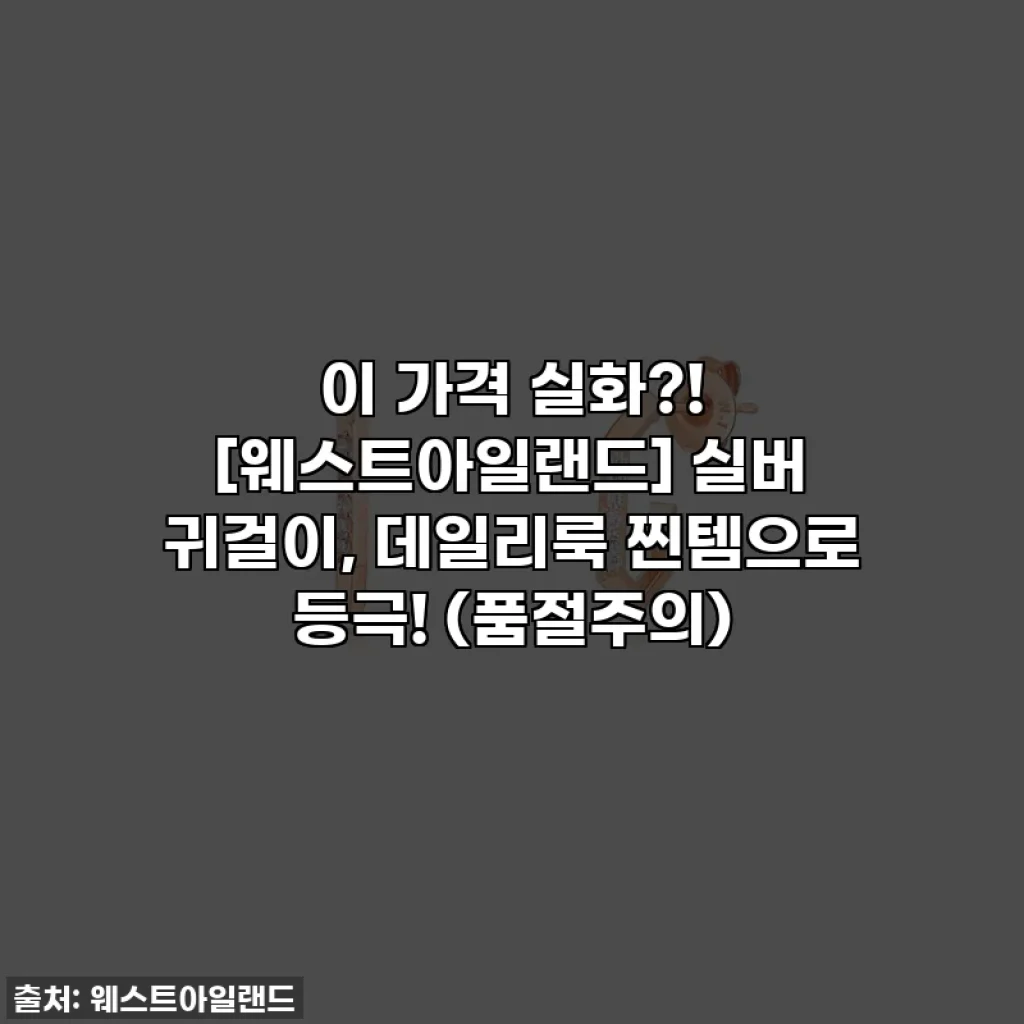 이 가격 실화?! [웨스트아일랜드] 실버 귀걸이, 데일리룩 찐템으로 등극! (품절주의)