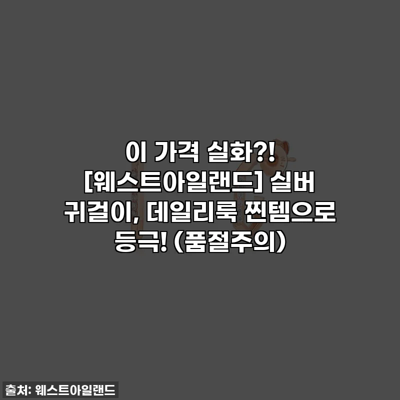 이 가격 실화?! [웨스트아일랜드] 실버 귀걸이, 데일리룩 찐템으로 등극! (품절주의)