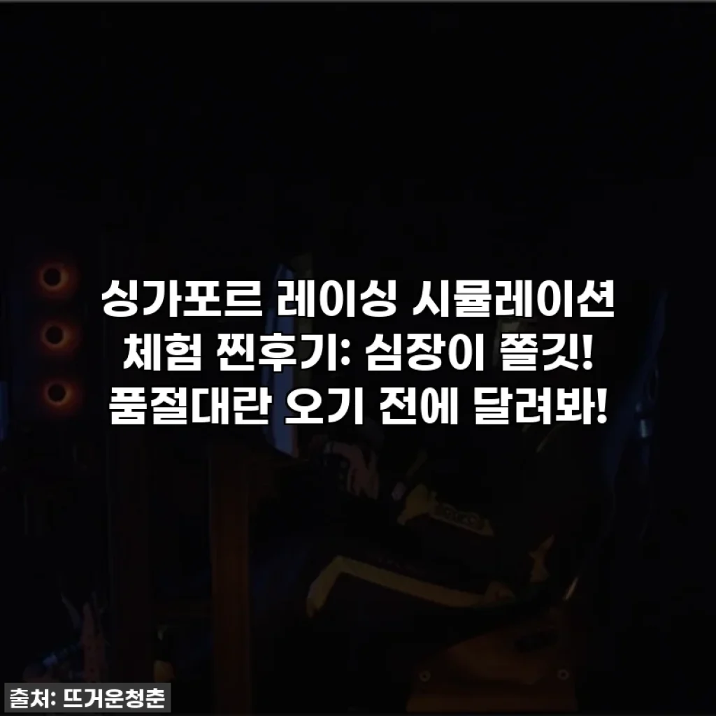 싱가포르 레이싱 시뮬레이션 체험 찐후기: 심장이 쫄깃! 품절대란 오기 전에 달려봐!