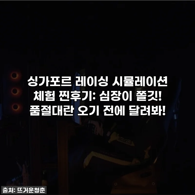 싱가포르 레이싱 시뮬레이션 체험 찐후기: 심장이 쫄깃! 품절대란 오기 전에 달려봐!