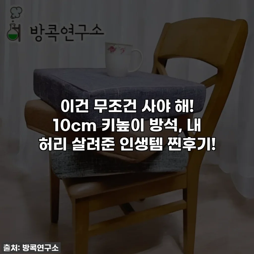 이건 무조건 사야 해! 10cm 키높이 방석, 내 허리 살려준 인생템 찐후기!