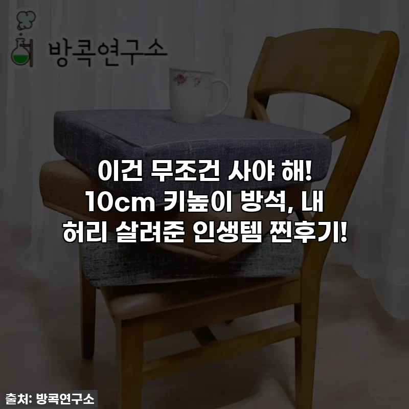 이건 무조건 사야 해! 10cm 키높이 방석, 내 허리 살려준 인생템 찐후기!