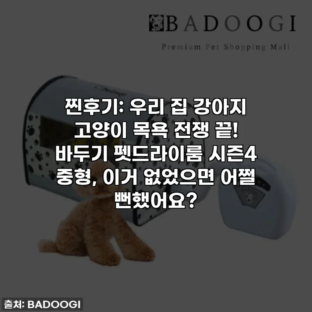 찐후기: 우리 집 강아지 고양이 목욕 전쟁 끝! 바두기 펫드라이룸 시즌4 중형, 이거 없었으면 어쩔 뻔했어요?