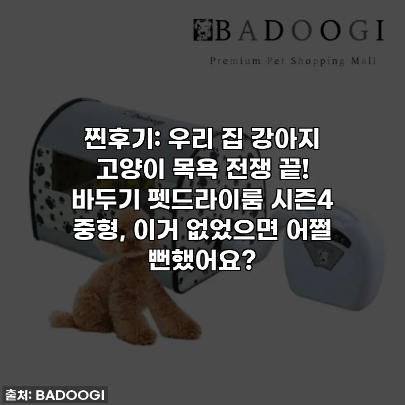 찐후기: 우리 집 강아지 고양이 목욕 전쟁 끝! 바두기 펫드라이룸 시즌4 중형, 이거 없었으면 어쩔 뻔했어요?