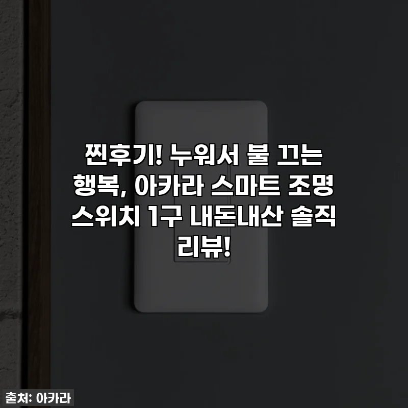 찐후기! 누워서 불 끄는 행복, 아카라 스마트 조명 스위치 1구 내돈내산 솔직 리뷰!