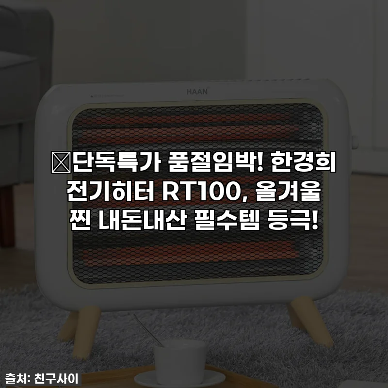 🔥단독특가 품절임박! 한경희 전기히터 RT100, 올겨울 찐 내돈내산 필수템 등극!