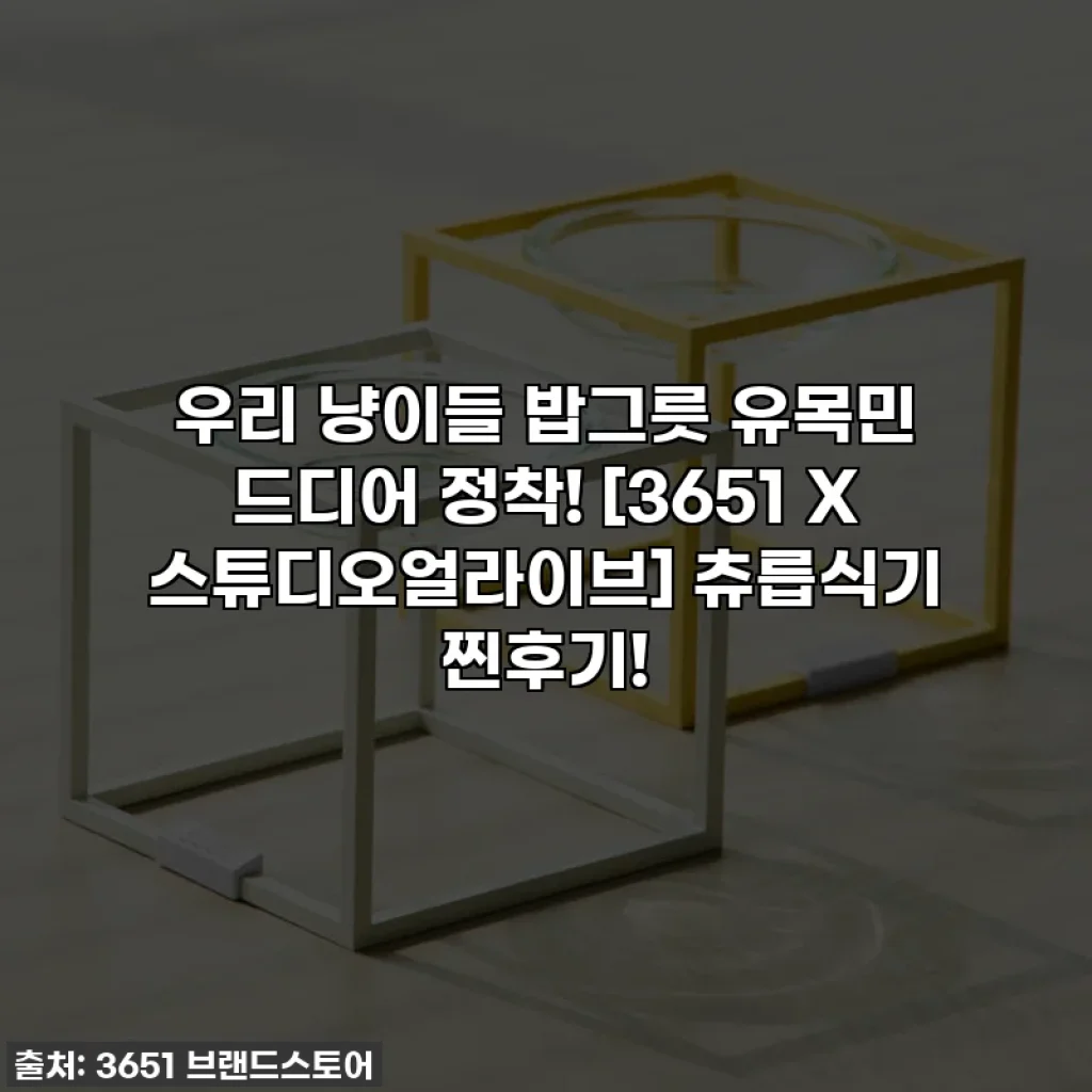 우리 냥이들 밥그릇 유목민 드디어 정착! [3651 X 스튜디오얼라이브] 츄릅식기 찐후기!