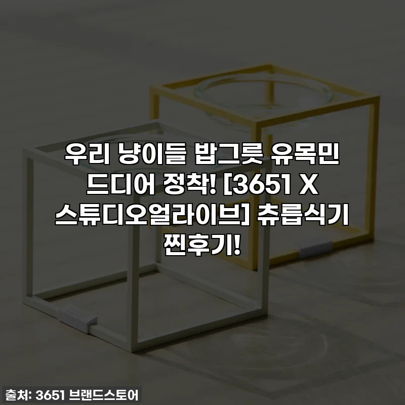 우리 냥이들 밥그릇 유목민 드디어 정착! [3651 X 스튜디오얼라이브] 츄릅식기 찐후기!