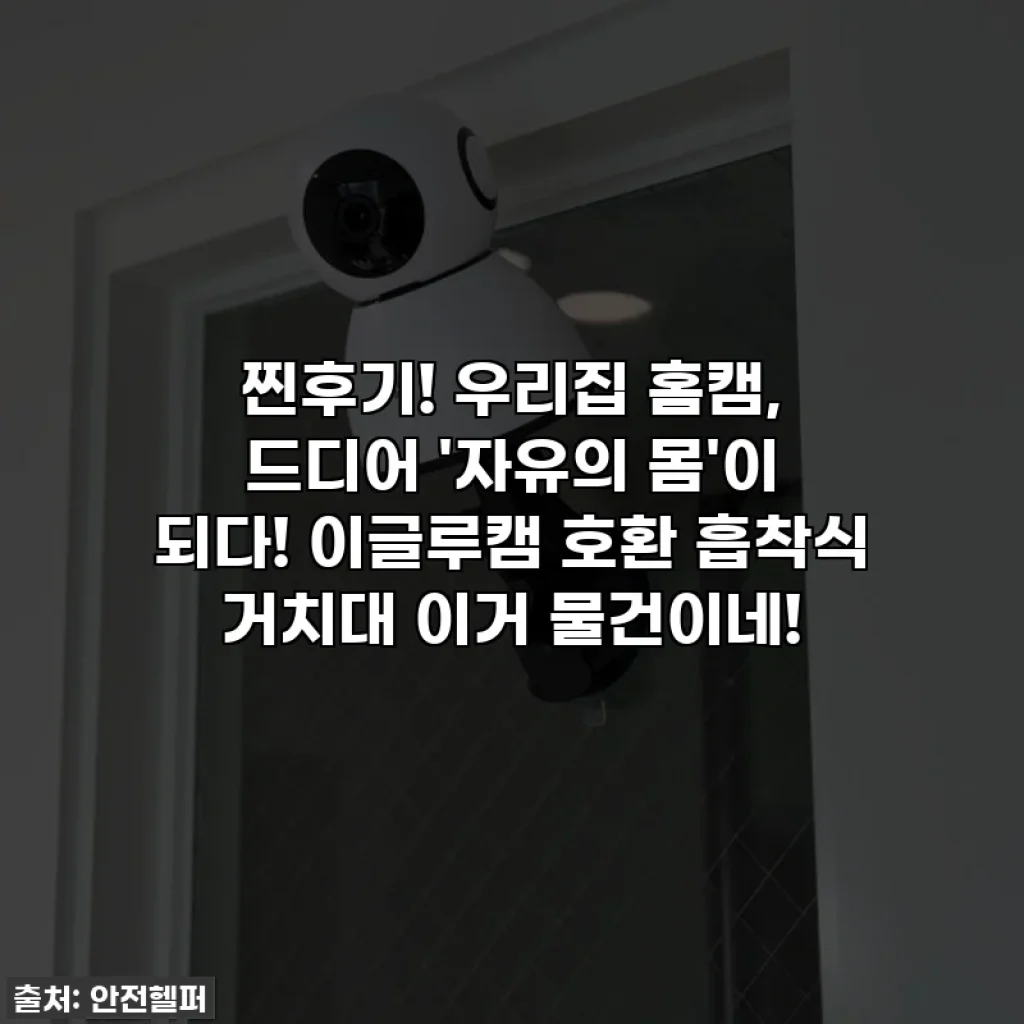 찐후기! 우리집 홈캠, 드디어 '자유의 몸'이 되다! 이글루캠 호환 흡착식 거치대 이거 물건이네!