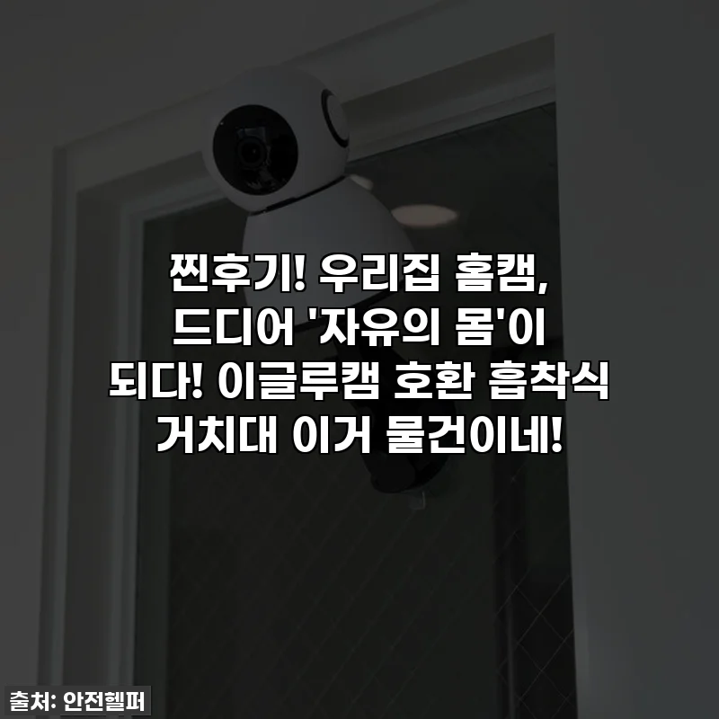 찐후기! 우리집 홈캠, 드디어 '자유의 몸'이 되다! 이글루캠 호환 흡착식 거치대 이거 물건이네!