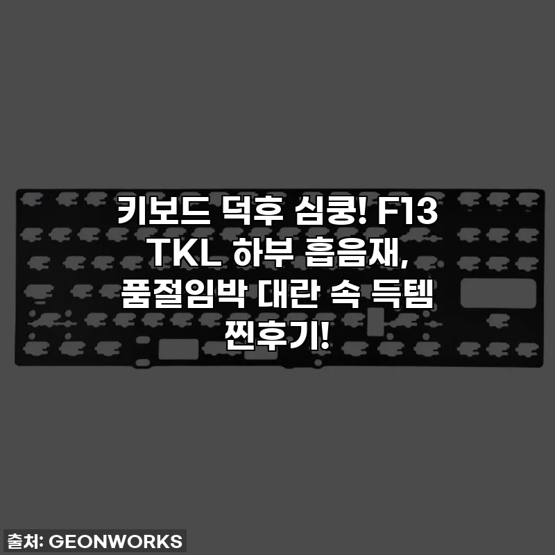 키보드 덕후 심쿵! F13 TKL 하부 흡음재, 품절임박 대란 속 득템 찐후기!