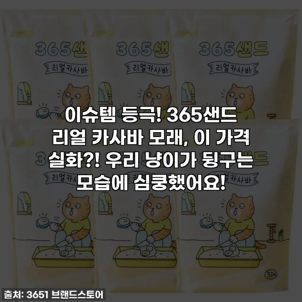 이슈템 등극! 365샌드 리얼 카사바 모래, 이 가격 실화?! 우리 냥이가 뒹구는 모습에 심쿵했어요!